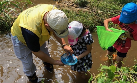 水生生物調査（天白川）